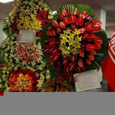 تاج گل برای نمایشگاه میکروبیولوژی 1160