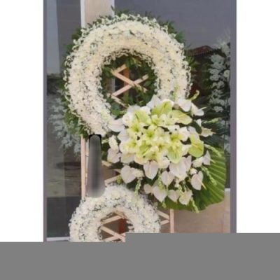 تاج گل برای نمایشگاه رباتیک 1161