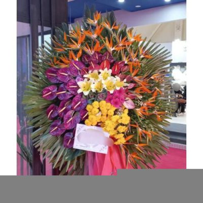 تاج گل برای نمایشگاه علوم محیط زیست 1467
