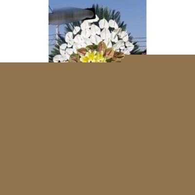 تاج گل برای نمایشگاه زیبایی و آرایشی 1031