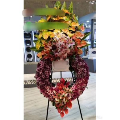 تاج گل برای نمایشگاه دنیای سرگرمی 1492