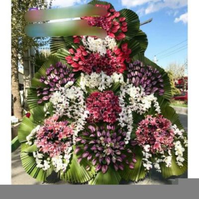 گل فروشی تهران برای افتتاحیه فعالیت‌های اجتماعی 2086