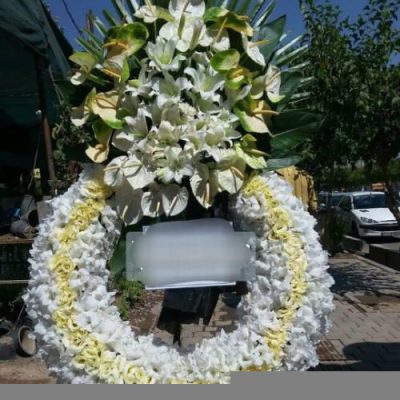 تاج گل برای نمایشگاه تکنولوژی و نوآوری 1494
