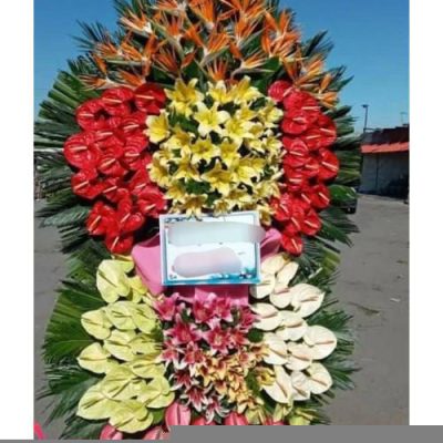 تاج گل برای افتتاحیه کارخانه 1527