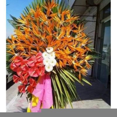 تاج گل برای افتتاحیه پارک تفریحی 1524
