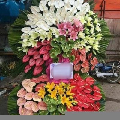 تاج گل افتتاحیه برای سازمان‌های غیرانتفاعی 1519