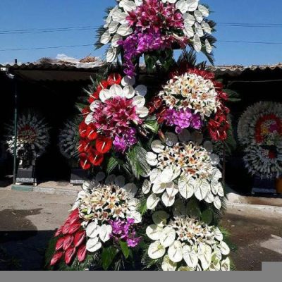تاج گل مناسب افتتاحیه جشنواره‌های محلی 1616