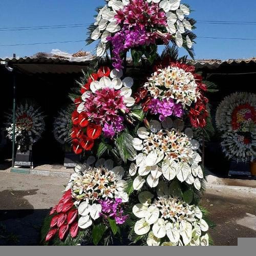 تاج گل مناسب افتتاحیه جشنوارههای محلی 1616 تاج گل مناسب افتتاحیه جشنوارههای محلی 1616