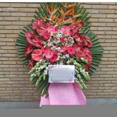 تاج گل برای افتتاحیه مراکز ورزشی 1618