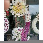 تاج گل برای افتتاحیه وب‌سایت‌های تجاری 1620