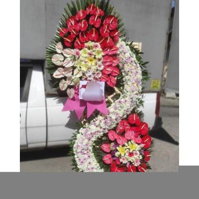 تاج گل افتتاحیه برای پروژه‌های عمرانی 1598