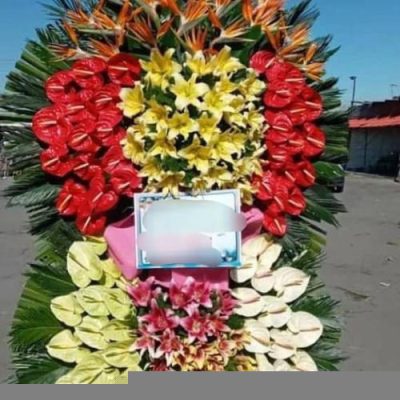 تاج گل مناسب افتتاحیه برندهای جدید 1685
