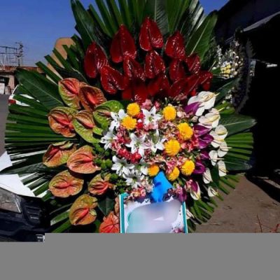 تاج گل افتتاحیه برای تئاترهای جدید 1687
