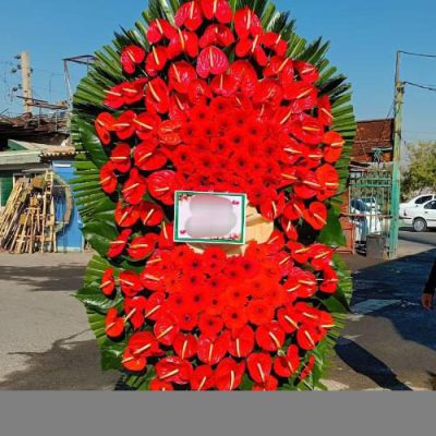 تاج گل برای افتتاحیه سینماهای جدید 1643
