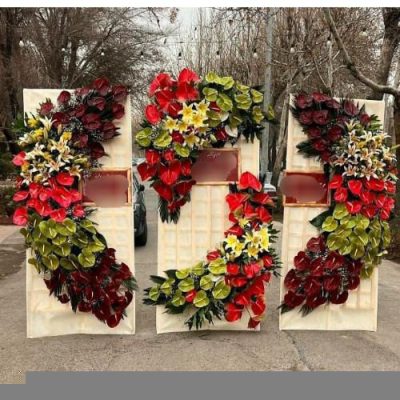 تاج گل برای افتتاحیه مراکز تفریحی 1645