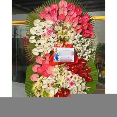 تاج گل افتتاحیه برای جشنواره‌های غذایی 1646