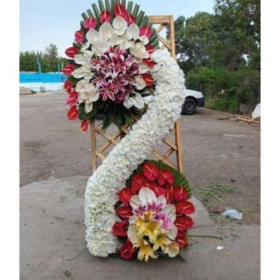 تاج گل برای افتتاحیه تورهای طبیعت‌گردی 1647