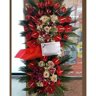 تاج گل ویژه افتتاحیه استودیوهای هنری 1637