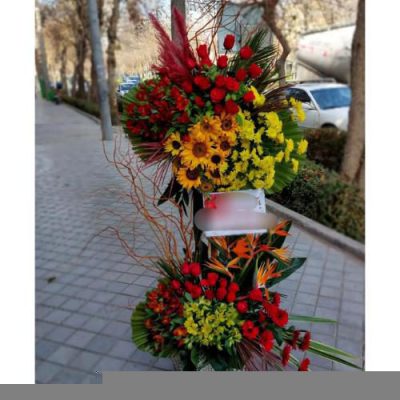 تاج گل برای افتتاحیه مراکز تفریحی 1702