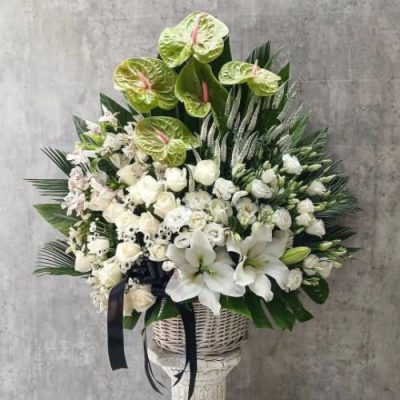 گلفروشی نزدیک سفارت آفریقای جنوبی 3697