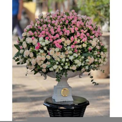 تحویل فوری دسته گل در ایران لنت 2188
