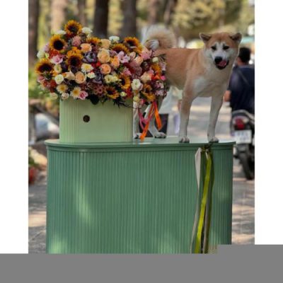 تحویل فوری دسته گل در خیابان گلستانک 2297