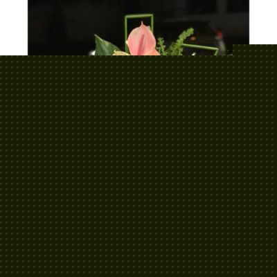 تحویل فوری دسته گل در شهرک قدس 3069
