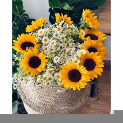 گلفروشی نزدیک بانک سپه 3158