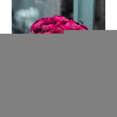 گلفروشی نزدیک مرکز توانبخشی و فیزیوتراپی 3245