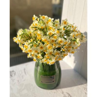 گلفروشی نزدیک پاساژ میدان ولیعصر 3661