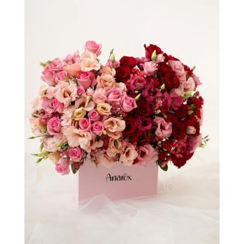 باکس گل آچیلا و بابونه برای روز زن 4548 باکس گل آچیلا و بابونه برای روز زن 4548