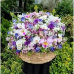 سبد گل بابونه و پرنده بهشتی برای روز زن 4557