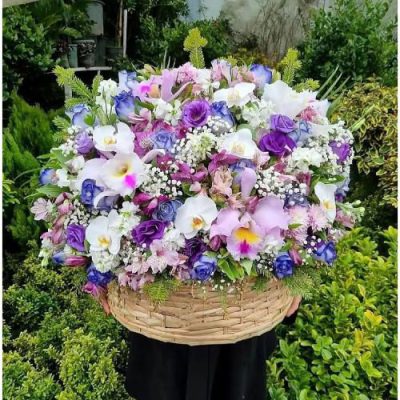 سبد گل بابونه و پرنده بهشتی برای روز زن 4557