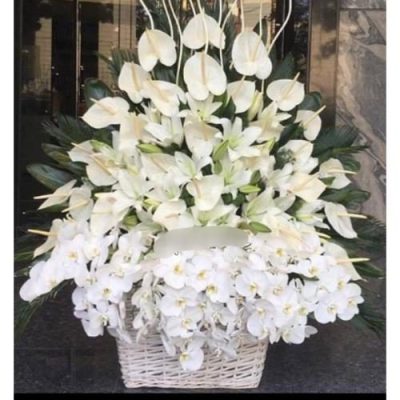 سبد گل خاص برای دوست خانم در روز 4719