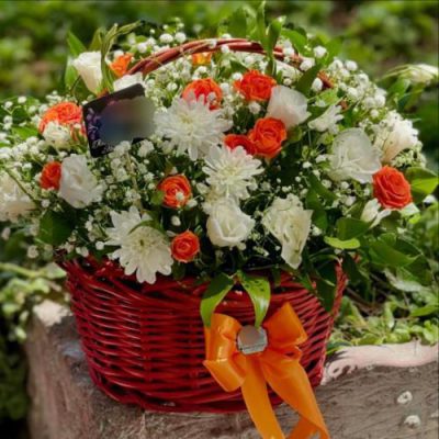 سبد گل ژربرا و ورنیکا برای روز زن 4629
