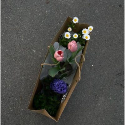دسته گل اورینتال و ژربرا برای روز مادر 4476