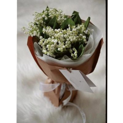 دسته گل ژیپسوفیلا و داودی برای روز زن 4506