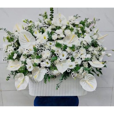 باکس گل اوکالیپتوس و گلایول برای روز مادر 4663
