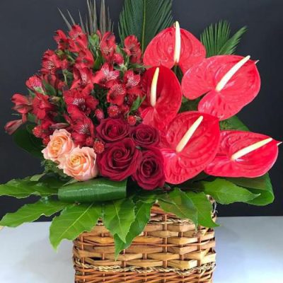 سبد گل ژیپسوفیلا و مخلصه برای روز زن 4785